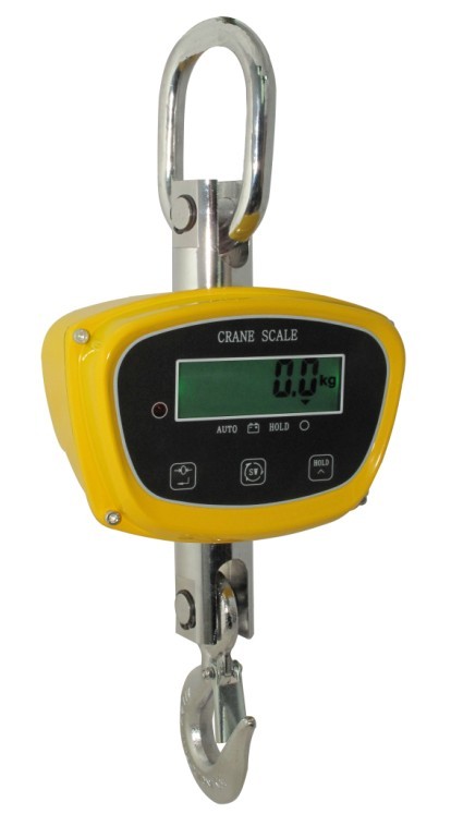 直視電子吊鉤稱